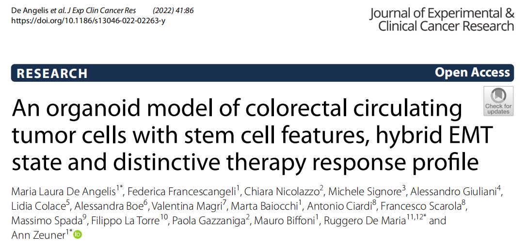 1653874599186308.png 首图.png