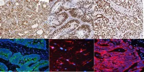 2d0ef979a44881158b8bef8dd515d3ae1720 (1).jpg