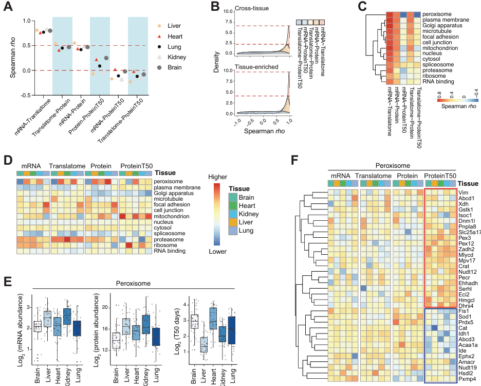 6389067676692807351975147