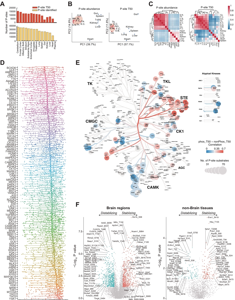 6389067687729923862351581