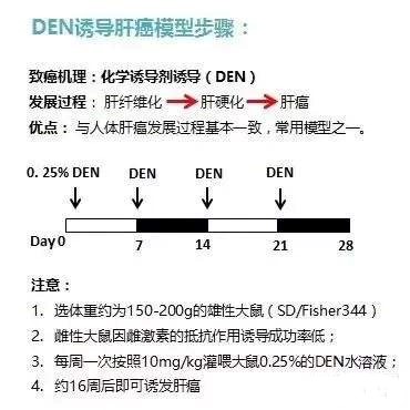 1687759378960566.jpg GG.jpg